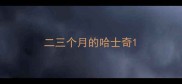 二三个月的哈士奇