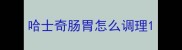哈士奇肠胃怎么调理