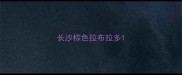 长沙棕色拉布拉多