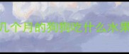 几个月的狗狗吃什么水果