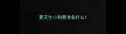 夏天生小狗要准备什么