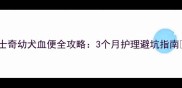 哈士奇幼犬血便全攻略3个月护理避坑指南