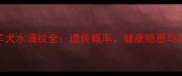 边境牧羊犬水滴纹全遗传概率健康隐患与养护技巧