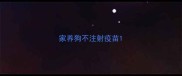 家养狗不注射疫苗
