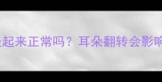 新手必看拉布拉多耳朵竖起来正常吗耳朵翻转会影响健康吗附正确护理指南