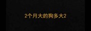 2个月大的狗多大