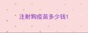 注射狗疫苗多少钱