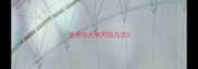 金毛幼犬每天拉几次