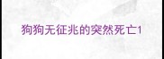 狗狗无征兆的突然死亡