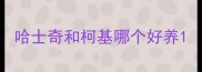 哈士奇和柯基哪个好养