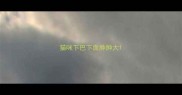 猫咪下巴下面肿肿大
