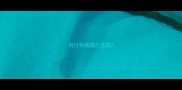 自行给猫猫打疫苗