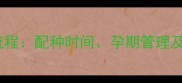 萨摩耶繁殖全流程配种时间孕期管理及幼犬养护指南