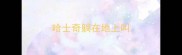 哈士奇躺在地上叫