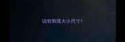 边牧狗笼大小尺寸