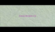 灰色哈士奇大概多少钱