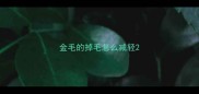 金毛的掉毛怎么减轻