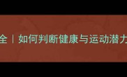 边境牧羊犬胸深标准全如何判断健康与运动潜力附专业测量教程