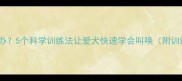 小狗不叫怎么办5个科学训练法让爱犬快速学会叫唤附训练视频教程