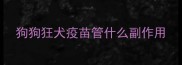 狗狗狂犬疫苗管什么副作用
