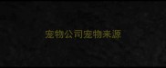 宠物公司宠物来源