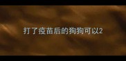 打了疫苗后的狗狗可以