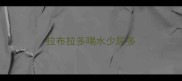 拉布拉多喝水少尿多