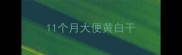 11个月大便黄白干