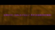 边境牧羊犬一生能认多少位主人寿命与忠诚度的科学真相