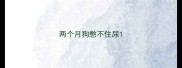 两个月狗憋不住尿