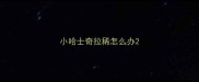 小哈士奇拉稀怎么办