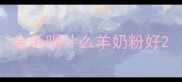 金毛喝什么羊奶粉好