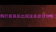 疫苗过敏急救指南小狗打疫苗后出现这些症状快看附真实案例和自救方法