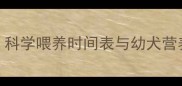 小狗多大开始吃狗粮科学喂养时间表与幼犬营养指南附喂养方案