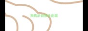 狗狗后背很多皮屑