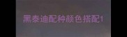 黑泰迪配种颜色搭配
