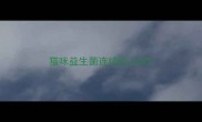 猫咪益生菌连续吃几天