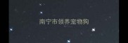 南宁市领养宠物狗