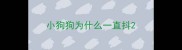 小狗狗为什么一直抖