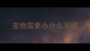 宠物需要办什么手续