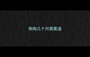 狗狗几个月需要遛