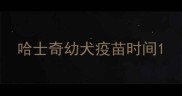 哈士奇幼犬疫苗时间