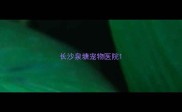 长沙泉塘宠物医院