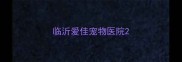 临沂爱佳宠物医院