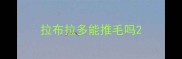 拉布拉多能推毛吗