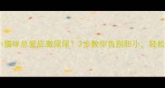 科学训练指南胆小猫咪总爱应激尿尿3步教你告别胆小轻松应对生活挑战