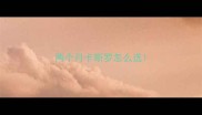 两个月卡斯罗怎么选
