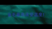 金毛最高承受温度
