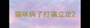猫咪病了打痛立定