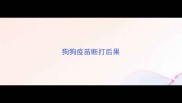 狗狗疫苗断打后果